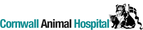 Cornwall Animal Hospital